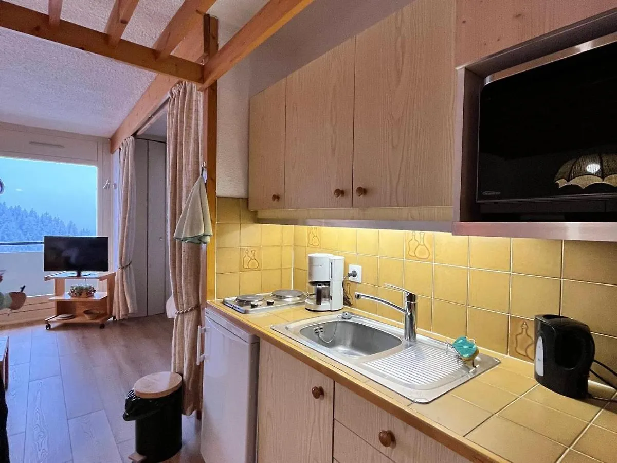 Studio Spacieux 39M² Renove Avec Balcon, Garage, Equipements Bebe, Pied Des Pistes A Villard-De-Lans - Fr-1-515-166