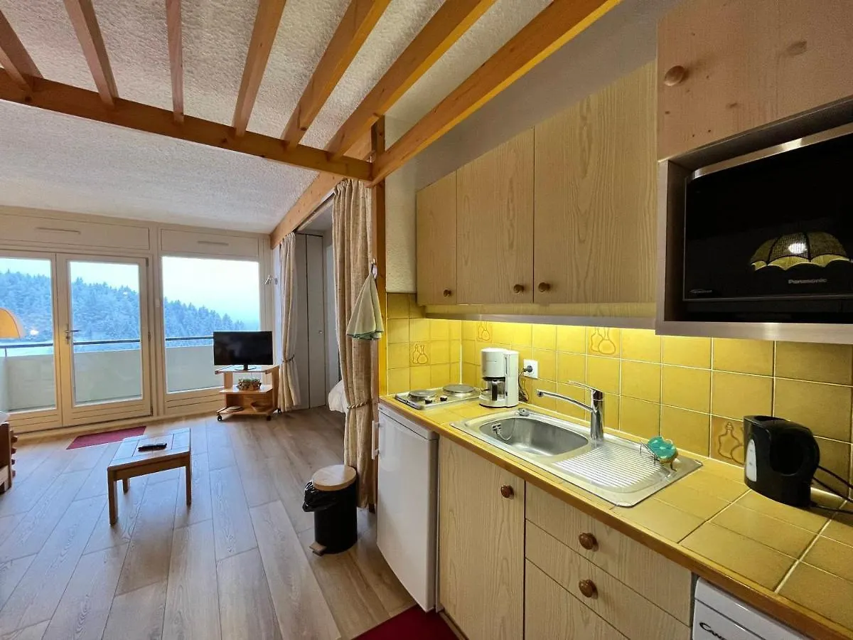 Studio Spacieux 39M² Renove Avec Balcon, Garage, Equipements Bebe, Pied Des Pistes A Villard-De-Lans - Fr-1-515-166 0*,